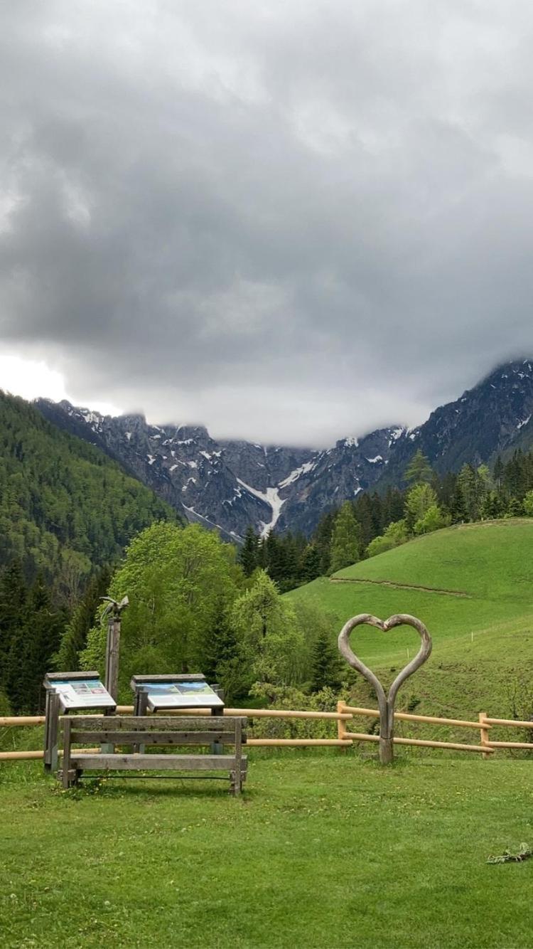 Tourist Farm Gradisnik Apartman Solčava Kültér fotó