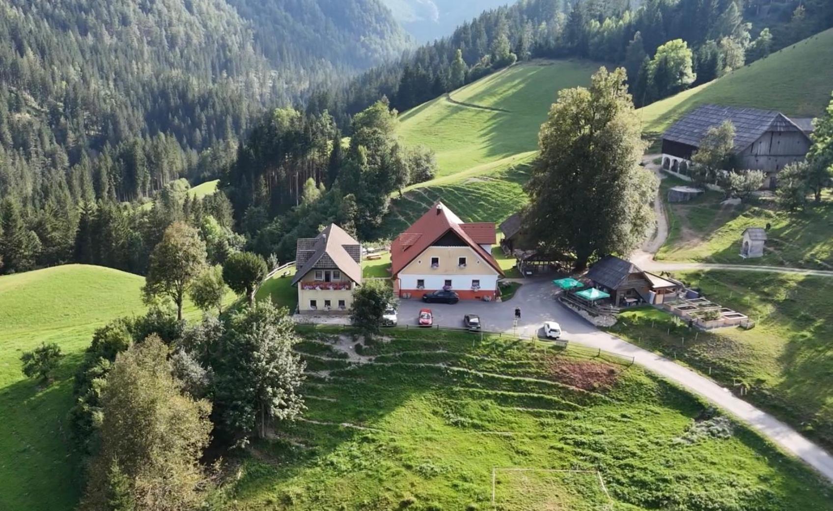 Tourist Farm Gradisnik Apartman Solčava Kültér fotó