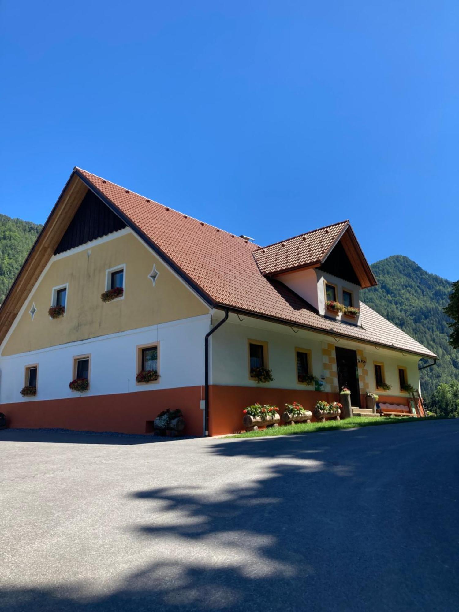 Tourist Farm Gradisnik Apartman Solčava Kültér fotó
