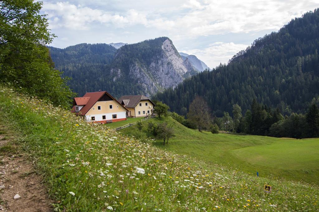 Tourist Farm Gradisnik Apartman Solčava Kültér fotó